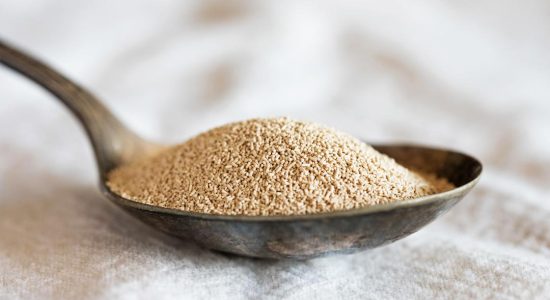 yeast