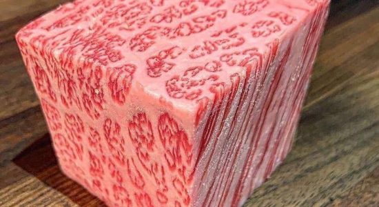 wagyu